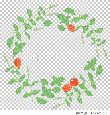 手繪彩色羅勒插圖（邊框、花環、圖案等） 135325999