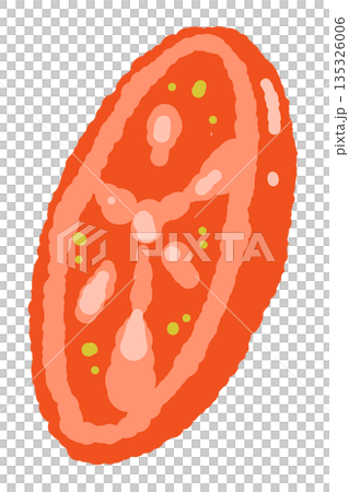 Hand-drawn color illustrations of basil (frames, wreaths, patterns, etc.) 135326006