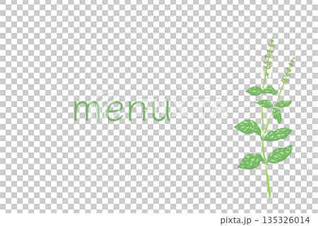 Hand-drawn color illustrations of basil (frames, wreaths, patterns, etc.) Hand-drawn color illustrations of basil (frames, wreaths, patterns, etc.) 135326014