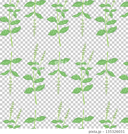 Hand-drawn color illustrations of basil (frames, wreaths, patterns, etc.) 135326031