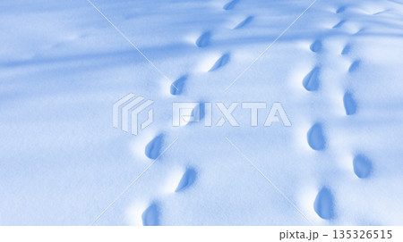 晴れた日に新雪の上を仲良く並んで歩いた足跡のイメージ風景 135326515