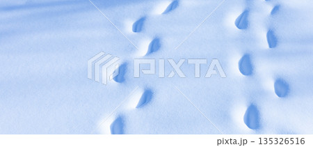 晴れた日に新雪の上を仲良く並んで歩いた足跡のイメージ風景 135326516