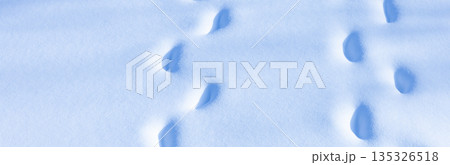 晴れた日に新雪の上を仲良く並んで歩いた足跡のイメージ風景 135326518