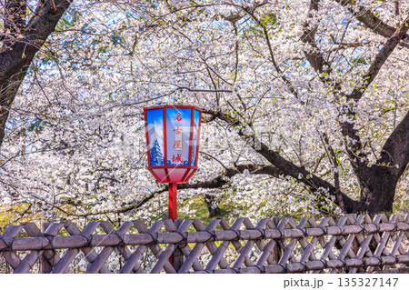 名古屋城桜まつりと春の提灯風景 135327147