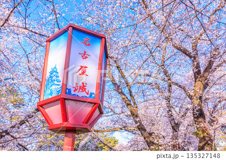 名古屋城桜まつりと春の提灯風景 名古屋城桜まつりと春の提灯風景 135327148