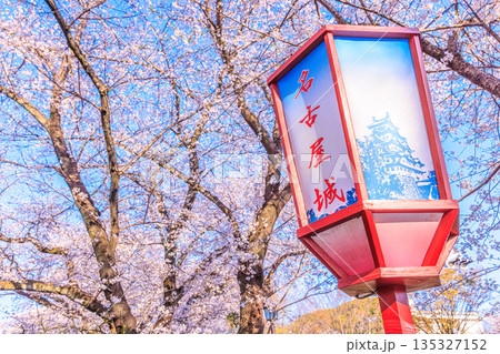 名古屋城桜まつりと春の提灯風景 名古屋城桜まつりと春の提灯風景 135327152
