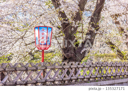 名古屋城桜まつりと春の提灯風景 135327171