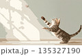 ボールで遊ぶ猫のイラスト 135327190