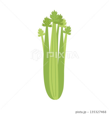 Bunch of celery. 135327468