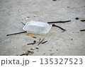 Plastic trash scattered near water surface emphasizing pollution runoff and environmental contamination 135327523