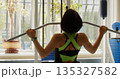 Back view of a young woman in excellent physical shape while working out in the gym. Workout for back muscles. Physical education as a norm of life for maintaining health. 135327582
