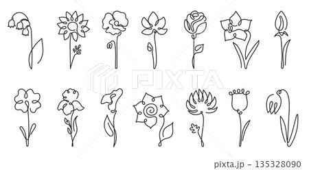 One line flower. Continuous line blooms rose, tulip and lily, poppy and snowdrop, daisy and daffodil minimal botanical tattoo for garden and wedding card and spring pattern. Flower bouquet vector set 135328090
