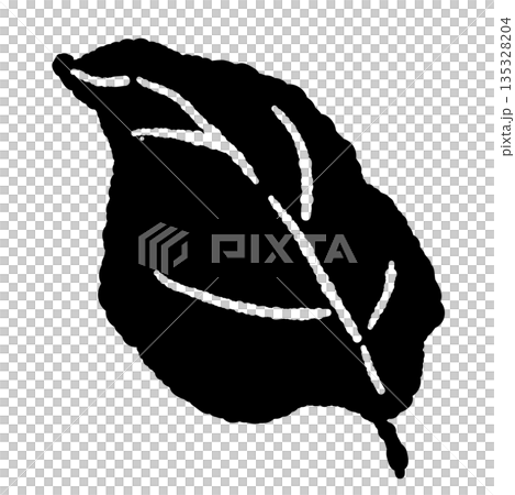 Hand-drawn monochrome illustrations of basil (frames, wreaths, patterns, etc.) Hand-drawn monochrome illustrations of basil (frames, wreaths, patterns, etc.) 135328204