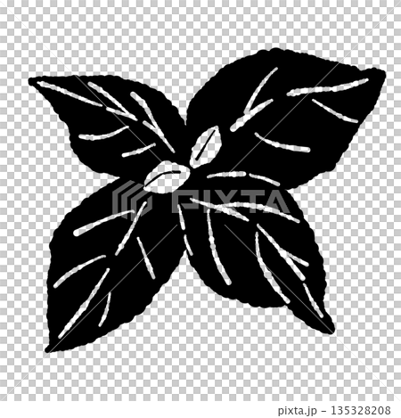 Hand-drawn monochrome illustrations of basil (frames, wreaths, patterns, etc.) Hand-drawn monochrome illustrations of basil (frames, wreaths, patterns, etc.) 135328208
