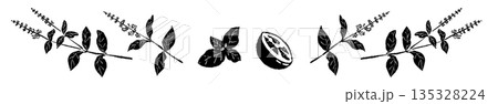 バジルの手書き風モノクロイラスト素材(フレーム・リース・パターンなど) バジルの手書き風モノクロイラスト素材(フレーム・リース・パターンなど) 135328224