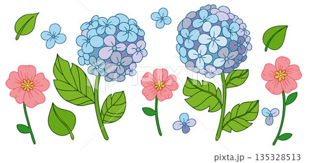 Set of vector illustrations with blue hydrangea flowers and leaves. 135328513