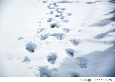 新雪に残る足跡と冬の陽射し 135328970