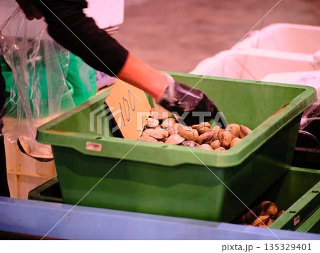 市場で売られている二枚貝 135329401