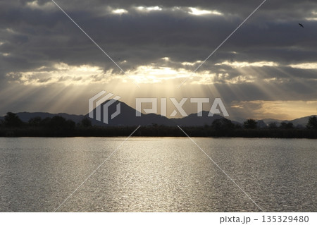 雲の隙間から差し込む光の朝の三上山 雲の隙間から差し込む光の朝の三上山 135329480