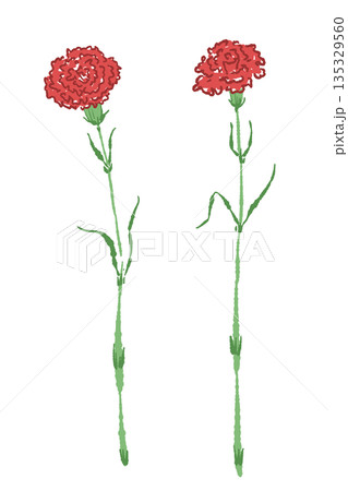 母の日の赤いカーネーションの手書き風カラーイラスト素材（フレーム・リース・花束など） 135329560