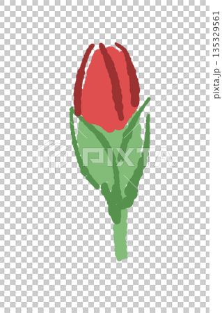 母親節紅色康乃馨手繪彩色插畫(邊框、花環、花束等) 母親節紅色康乃馨手繪彩色插畫(邊框、花環、花束等) 135329561