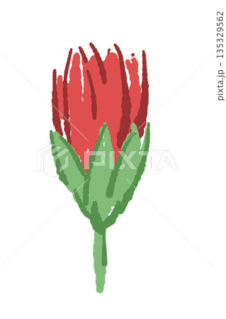 母の日の赤いカーネーションの手書き風カラーイラスト素材（フレーム・リース・花束など） 135329562