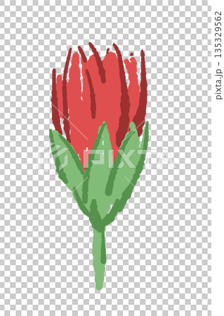 Mother's Day red carnation hand-drawn color illustration material (frame, wreath, bouquet, etc.) 135329562