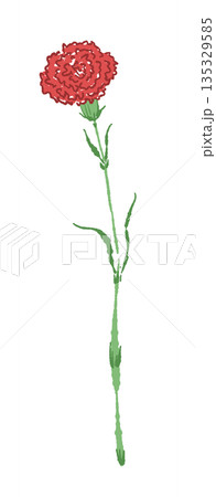 母の日の赤いカーネーションの手書き風カラーイラスト素材（フレーム・リース・花束など） 135329585