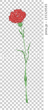 母の日の赤いカーネーションの手書き風カラーイラスト素材（フレーム・リース・花束など） 135329585