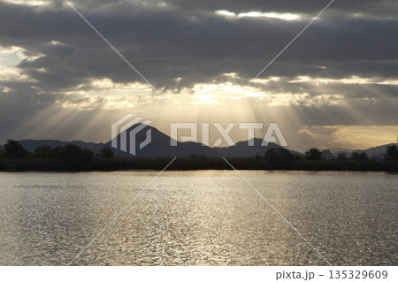 雲の隙間から差し込む光の朝の三上山 135329609