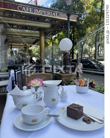 ウィーンのおしゃれカフェのザッハトルテ ウィーンのおしゃれカフェのザッハトルテ 135329740