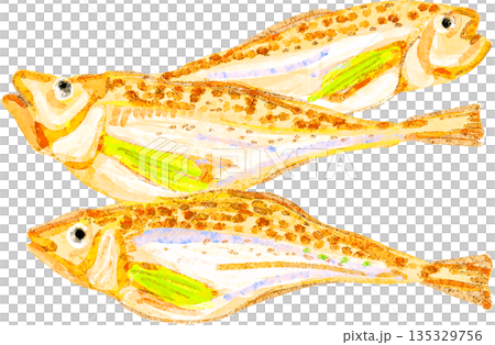 はたはたのイラスト 135329756