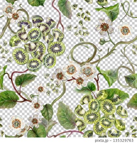 White flowers, green leaves, branches and brown fruit kiwi. Seamless pattern on a white background. Botanical template for home kitchen textiles, wrapping paper, packaging, wallpaper, scrapbook 135329763