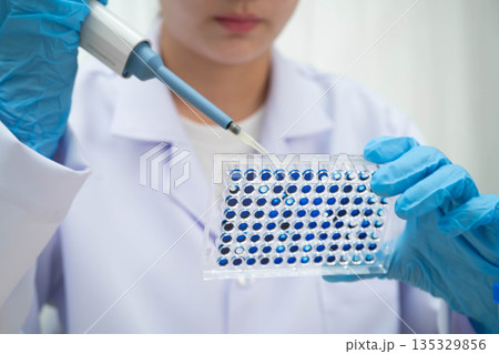 Scientist with cell culture in sample micro plate for research in science laboratory. 135329856