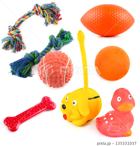 Collection of Colorful Pet Toys Isolated on White Collection of Colorful Pet Toys Isolated on White 135331037