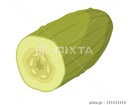 Homemade pickled cucumber. Clip-art of marinated food for packaging, label, menu, signboard or showcase. Fermented veggies, crunch gherkin with salt. Healthy vegetarian food 135331419