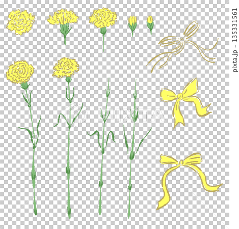 母の日の黄色カーネーションの手書き風カラーイラスト素材（フレーム・リース・花束など） 135331561