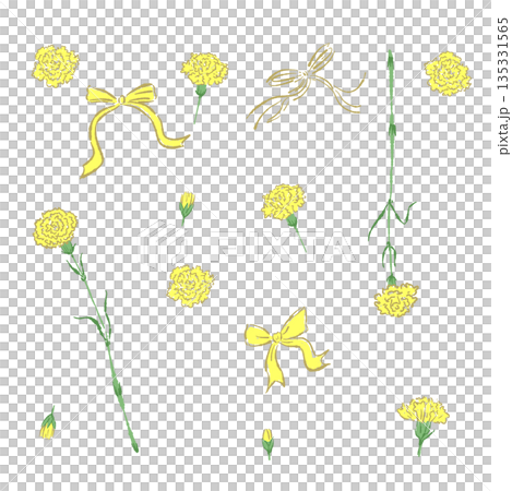 母親節黃色康乃馨手繪彩色插畫（相框、花環、花束等） 135331565