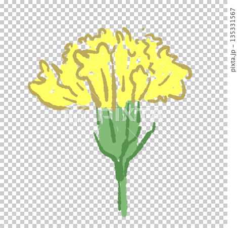 母の日の黄色カーネーションの手書き風カラーイラスト素材（フレーム・リース・花束など） 135331567