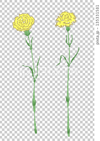 母の日の黄色カーネーションの手書き風カラーイラスト素材（フレーム・リース・花束など） 135331581