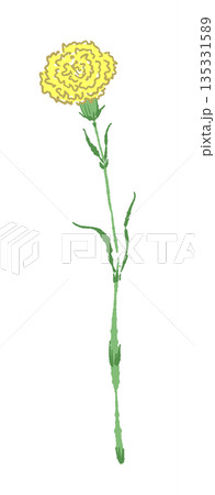 母の日の黄色カーネーションの手書き風カラーイラスト素材（フレーム・リース・花束など） 135331589