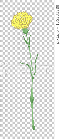 母の日の黄色カーネーションの手書き風カラーイラスト素材（フレーム・リース・花束など） 135331589