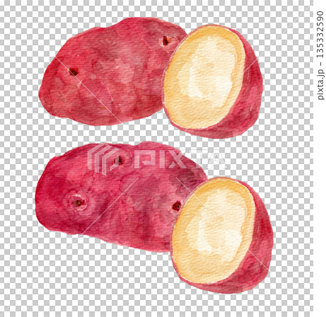赤メークインの丸ごとと断面の水彩イラスト 赤メークインの丸ごとと断面の水彩イラスト 135332590