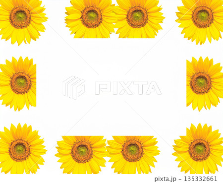 向日葵のイラスト素材（夏のイメージカット、メッセージカード、白背景） 135332661