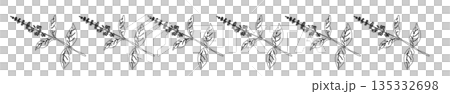 Hand-drawn line drawing illustrations of basil (frames, wreaths, patterns, etc.) Hand-drawn line drawing illustrations of basil (frames, wreaths, patterns, etc.) 135332698