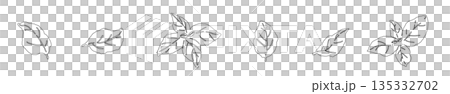 Hand-drawn line drawing illustrations of basil (frames, wreaths, patterns, etc.) 135332702