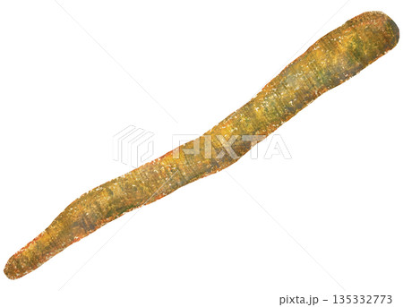 ごぼうのイラスト オイルパステル画 135332773