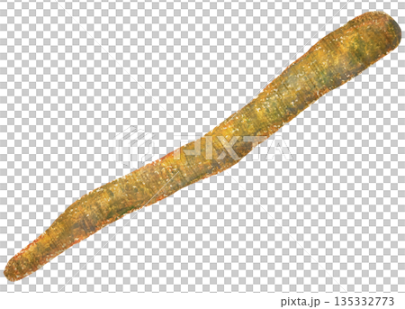 Burdock illustration oil pastel drawing 135332773