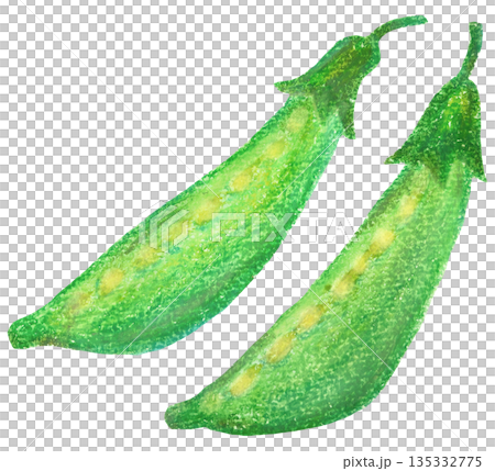 さやえんどうのイラスト オイルパステル画 さやえんどうのイラスト オイルパステル画 135332775