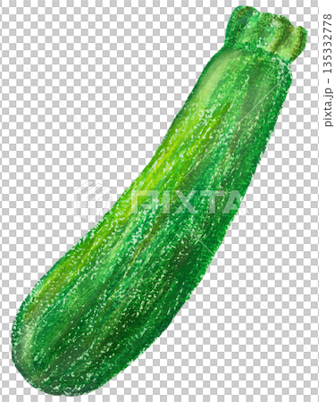 綠色西葫蘆油畫棒插圖 135332778